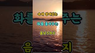 속에 쌓여 있는 화를 풀어주는 음식 5가지 #명언 #자기계발 #인생조언