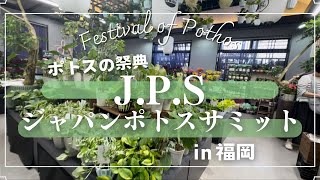 【J.P.S in福岡】ポトスの祭典  /  第4回ジャパンポトスサミット　福岡エフェクト　/  レポート&購入品紹介