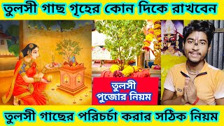 তুলসী গাছ গৃহের কোন দিকে রাখবেন || কীভাবে তুলসী গাছ পরিচর্চা করবেন || tulsi plant @blogstarsubham