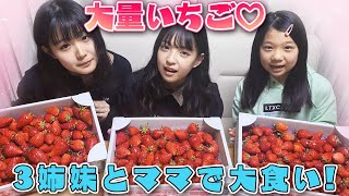 【大食い】いちご何個食べれる？【三姉妹とママ】