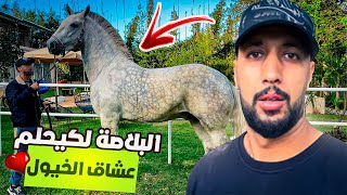 🚨اجـي تنقـش عينيك 😍 احسن بلاصـة لكيحلمو بها عشـاق الخييول 🐎  كاينة المفاجئة 🎁