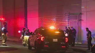 LAPD facing challenges as department is down 800 officers, city sees rise in homicides, robberies