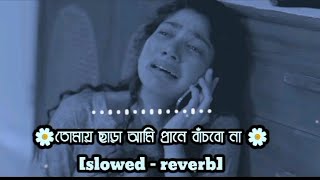 আমায় ছাইড়া যাইও না🔥🔥। Amai chaira jaiyo na।[ Slowed reverb] Shahin sultana mim ।New sad song 2025