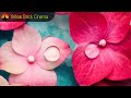 6 Hour Relaxing Spa Music Massage Music, Calming Music, Meditation Music, Relaxation Music, ☯2588