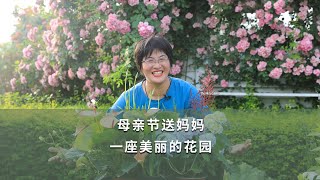 母亲节送妈妈一座美丽的花园