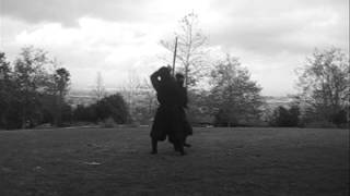 Ninjutsu - short spear combat