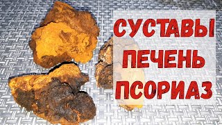 Нормализовался сахар. УНИКАЛЬНОЕ средство. ЧАГА, как настаивать и пить.