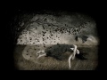 "diving in the air" - dhafer youssef