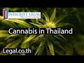 Foreigners in Thailand's Cannabis Space: Be Careful