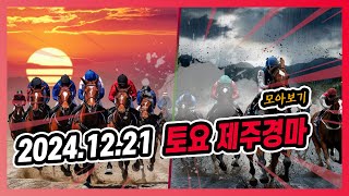 2024년 12월 21일 토요 제주경마 전체경주 모아보기