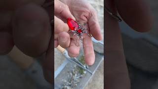 Hidden Treasure Found During Beach Cleanup – What a Surprise! #treasuresearch