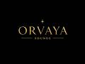 Jazz House & Deep Lounge Mix 2026 | Sax, Groove & Midnight Vibes | Orvaya Sounds