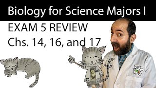 BIOL 1406 Exam 5 Review - Chapters 14, 16, and 17