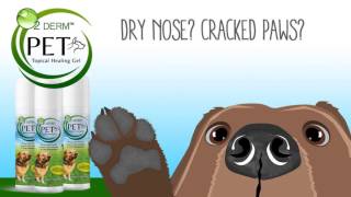 O2 Derm PET, the Oxygen Gel for Dogs - treats bug bites, dry skin, and more!