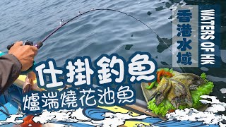 【漁人推介】香港水域，阿火帶大家出海釣花池魚/池仔，教大家如何使用仕掛輕鬆釣魚。教大家自制一夜干，咸鮮｜海鮮｜食譜｜Catch and Cook SCOMBER JAPONICUS Seafood