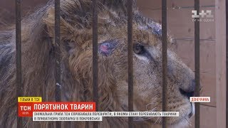 ТСН спробувала перевірити, в якому стані перебувають тварини в зоопарку на Донеччині