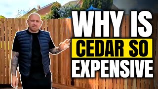 Why Cedar is So Expensive...