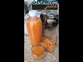 Fresh Cantaloupe Juice using Homever Masticating Juicer from Amazon Vegan Plant-based #short #shorts