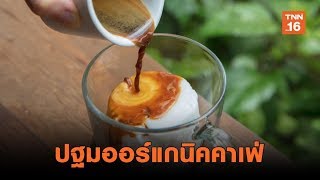 ปฐมออร์แกนิคคาเฟ่ ร้านกาแฟเพื่อสุขภาพ จ.นครปฐม | เรื่องดีดีทั่วไทย