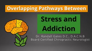 Overlapping Pathways Between Stress and Addiction