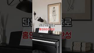 단돈 천원만 투자하세요 우리집 분위기가 바껴요🖤