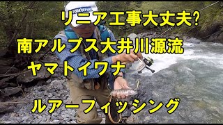 リニア工事大丈夫か？南アルプス大井川源流　ヤマトイワナ釣り