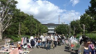 鎌倉女子大学前の沿道で行われる大船まつりのフリーマーケットの風景