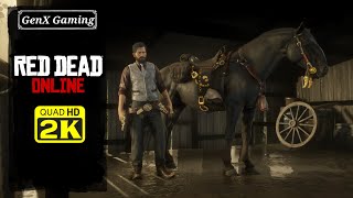 Red dead online  CTA without minimap||#pcgaming