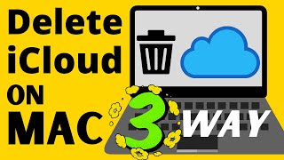 How to Remove your iCloud Account and Apple ID From Mac, MacBook Pro/Air - M1 in 3 Easy Ways [2024]