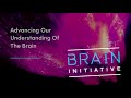 Dr. Philip Troyk and The BRAIN Initiative®