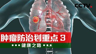 远离肺癌、食管癌 其实有方法 20240627 肿瘤防治划重点 3 | CCTV科教《健康之路》