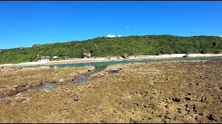 ちょいリーフ釣りやってみた　沖縄釣り　japan okinawa fishing