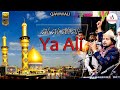 Ali Ali Ali Ali Ya Ali Pukaro To Ali Ko | Faheem Ghulam Waris