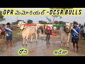 💐పెద్దనేలటూరు న్యూ క్యాటగిరి విభాగం . 💐13వ జత. DCSR BULLS - జడేజా - ధోని.