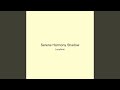 Serene Harmony Shadow
