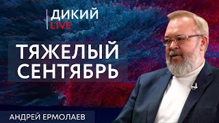 Театр абсурда или взрывные решения. Андрей Ермолаев. Дикий LIVE.