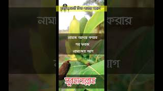 হারানো চাকরি ফিরে পাওয়ার আমল | #shorts #bangla