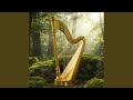 Harp Dawn