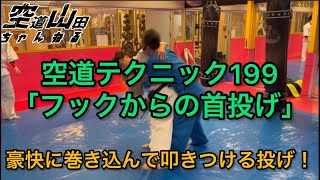 【武道】空道テクニック199「フックからの首投げ」【格闘技】