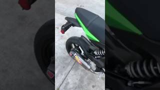 Z125 Pro with Pro Circuit T6 exhaust