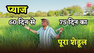 प्याज 60 दिन से 75 दिन का  पूरा शेडूल @BTGore