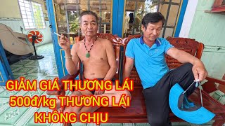 Lúa sục giá nông dân bớt thương lái 500đ/kg thương lái không chịu , đòi bớt thêm mới chịu