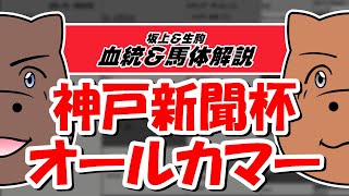 【2021神戸新聞杯＆オールカマー】元競馬記者と血統評論家の重賞血統\u0026馬体談義！！！