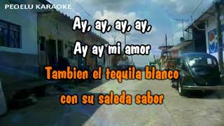 Antonio Banderas & Los Lobos   Cancion Del Mariachi karaoke with back vocal