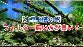 【水草水槽の噂】フィルター無い方が調子が良い？