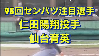 【仙台育英】仁田陽翔投手【95回センバツ注目選手#4】仙台育英三本柱②