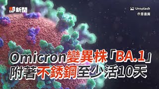 Omicron變異株「BA.1」　附著不銹鋼至少活10天