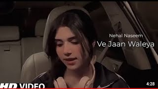 (ijazat song) Mera yaar sajan tu!!  Nehaal Naseem  new song lyrics by Nehaal Naseem