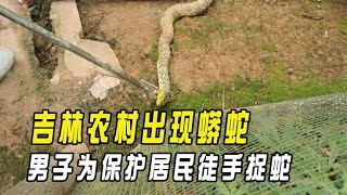 吉林农村出现蟒蛇，男子为保护居民拉住蛇的尾巴，却遭到蛇的反击