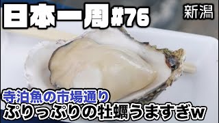 【飯テロ】魚のアメ横！？新潟のグルメスポットで海鮮食べ歩き【日本一周#76】